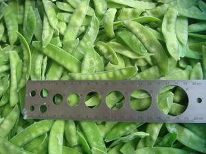 ถั่วหิมะเกรดสูงสำหรับส่งออกถั่วสดปลูกในฟาร์มแบบไม่ใช้จีเอ็มโอ - Product Image 4