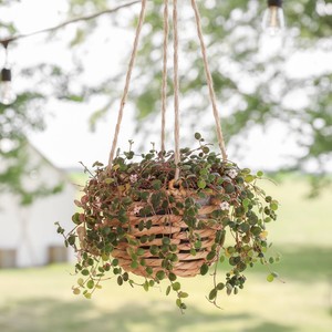 Macetas colgantes de pared tejidas a mano con el mejor descuento, macetas de jacinto de agua, macetas de mimbre - Product Image 6