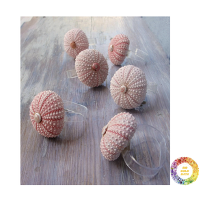 Porte-serviettes en coquille de mer marron doré en spirale pour décor de table de mariage côtier élégant - Product Image 1