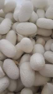 100% ขัดผิวด้วยไหมธรรมชาติและปราศจากสารเคมีคุณภาพระดับพรีเมี่ยมสำหรับการทำความสะอาดอย่างล้ำลึกและเพิ่มพื้นผิวด้วยทุกการใช้งาน - Product Image 2