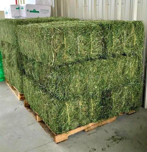 Discount <b>Sales</b> on European Manufactured Cattle Alfalfa <b>Hay</b> Dried Alfalfa <b>Baled</b> <b>for</b> Animal Use <b>for</b> Dogs and Pigs - Product Image 1