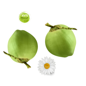 El producto de Agricultura de coco fresco y joven ayuda eficazmente a controlar los niveles de colesterol - Product Image 6