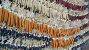 Maïs séché de haute qualité, style rustique de ferme, pour décoration, idéal pour créer un thème agricole et une mise en scène visuelle, Vietnam - Product Image 3