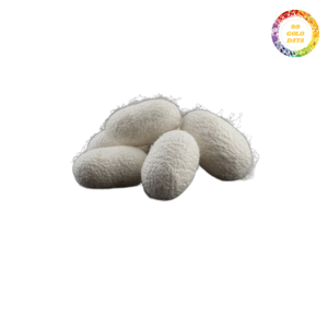 Vente en gros Silkworm Cocoon pour les fabricants-Qualité supérieure aux meilleurs prix du marché. - Product Image 2