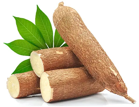 CHIPS de manioc frais de haute qualité