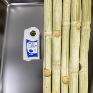 อ้อยแช่แข็งบรรจุสูญญากาศ | หวานและฉ่ำ | เพิ่มภูมิคุ้มกันสุขภาพ - Product Image 2