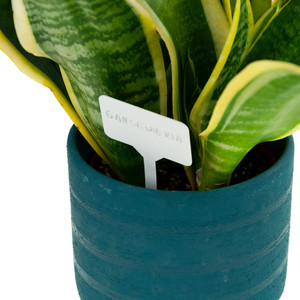 TG67653 Letreros para Jardín, Juego Completo de 31 Etiquetas para Plántulas - Product Image 5