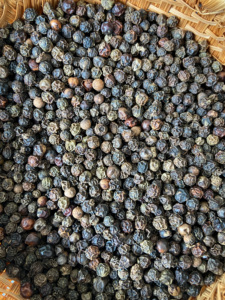 Pimienta negra Premium Pimienta negra seca vietnamita 550GL LIMPIA Rica en aroma Lista para enviar - Product Image 5