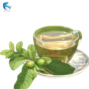 Feuilles de goyave séchées du Vietnam, matière première en vrac pour la production de boissons - Product Image 2