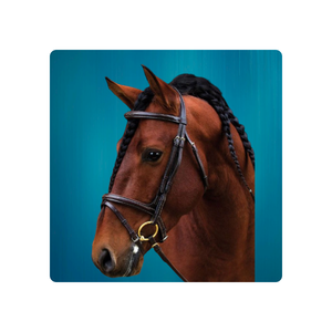 Bride de confort multifonctionnelle pour les chevaux de taille noire en épi Superbe cuir allemand Anatomique Crystal Bling Horse Product - Product Image 4