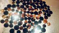 Boutons de jean ronds en corne, polis, motif naturel, style classique, écologiques, fabriqués à partir de matériau corneux