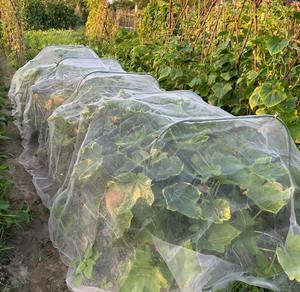 Toptan dayanıklı HDPE Anti-cibinlik özel kesim sera tarım böcek örgü <span class=keywords><strong>Net</strong></span> sebze bahçeleri için - Product Image 3