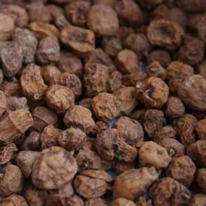 Noix de tigre 100% naturelles de qualité supérieure en vrac, emballées sous vide pour la vente en gros à grande échelle - Product Image 1