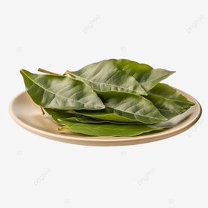 HOJAS SOURSOP-PESTICEDE FREE/100% NATURAL - Product Image 1