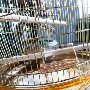 Jaula de pájaros de Metal al por mayor de fábrica, jaula de loro de alambre dorado, fácil de montar, fácil de limpiar, portátil, duradera, transpirable - Product Image 5