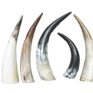 Nuevo aspecto con un precio razonable Cuerno para beber Hecho EN LA India Cuerno de búfalo Vasos Cuerno para beber hecho a mano por Artesanías de media luna - Product Image 1