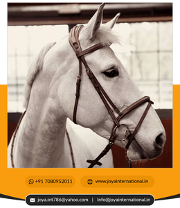 Mademoiselle Anatomique Français Muserolle Bride Avec Couture Fantaisie Western Headstalls réduction de poids - Product Image 4
