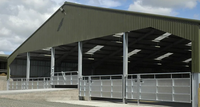 Structure de hangar préfabriqué en acier sur mesure pour chèvres et moutons