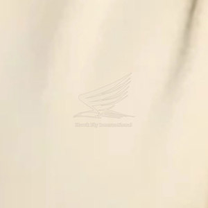 Nouveauté, survêtement décontracté d'hiver pour homme, vêtements de rue, qualité supérieure, 100% coton, respirant, léger, fabriqué au Pakistan - Product Image 6