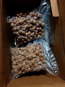 Lichi Seco Premium de Vietnam - Product Image 4