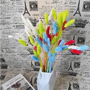 Konserviertes Gras Dornenkrone Trocken blumen arrangement Hochzeit DIY Material Natürlicher getrockneter Pflanzens trauß - Product Image 3