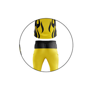 Uniformes de Cricket Sublimados Personalizados de Alta Calidad, Transpirables y de Secado Rápido, con Camisetas y Pantalones, Logotipo Personalizado para Venta en Línea - Product Image 6