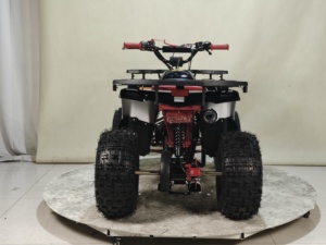 <strong>ATV</strong> UTV 150cc-800cc 2WD <strong>Quad</strong> <strong>Bike</strong> 4 Wheeler Motorcycle Automatic Chain Drive Transmission System - Product Image 3