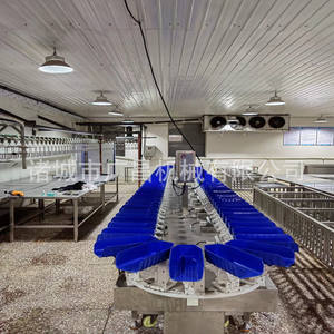 Автоматическая высокоскоростная ленточная конвейерная система для сортировки по весу: сортировочная машина для курицы, яиц, креветок, рыбы, фруктов по выгодной цене - Product Image 5