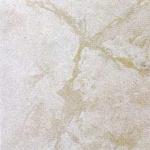 Piastrelle in Vinile Moderne 12x12 Pollici Autoadesive Resistenti all'Acqua Antiscivolo per Ufficio Confezione da 20 Disponibili in Spessori 1,5mm 2mm 3mm - Product Image 1