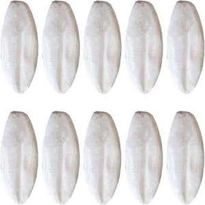 Pure and Natural <b>Cuttlefish</b> Bone - Product Image 6
