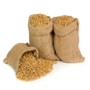 Grains de blé frais à vendre, purs et de haute qualité, commandes en gros disponibles pour l'exportation et la vente au détail - Product Image 4