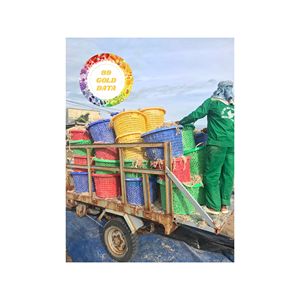 POLVO DE MUSGO MARINO DE ORIGEN VIETNAMITA DE GRADO ALIMENTICIO PARA SUPLEMENTOS DE SALUD, ALIMENTOS FUNCIONALES Y FORMULACIÓN DE BATIDAS - Product Image 5