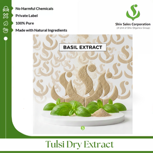 Polvo de Extracto Seco de Tulsi Elaborado para una Calidad Confiable en el Suministro de Ingredientes Herbales B2B - Product Image 5