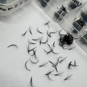 Wispy 5D 7D 9D <b>Premade</b> <b>Fan</b> Eyelash Extensions Mega Volume Natural Long Korean PBT Synthetic Fiber CC/DD/M/L Curl Customizable - Product Image 1