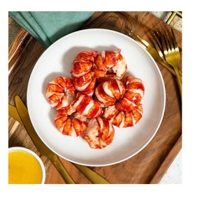 Langostas Congeladas Premium de California para Exportación, Suministro al por Mayor para Restaurantes, Hoteles y Distribuidores de Mariscos - Product Image 6