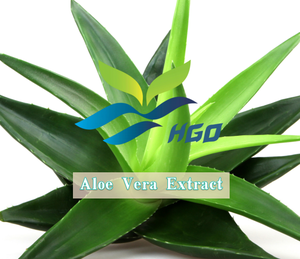 HGO Suministro directo de fábrica Extracto de Aloe Vera de cítricos naturales (grado alimenticio) 10% - 20% Aloin Barbaloin (extracto estandarizado) - Product Image 2