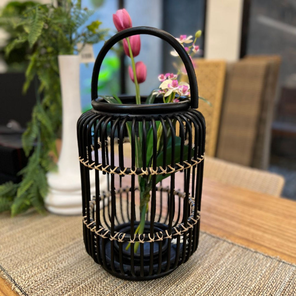 หวายสีดำ