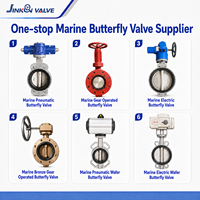 Vanne papillon manuelle à vis sans fin Marine D371X, type à oreilles, en fonte ductile, avec disque en SS304 et siège en EPDM, pour le traitement de l'eau de mer