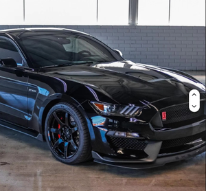 Ford Mustang Shelby GT350R 2019 Usado (LHD/RHD) - Product Image 1