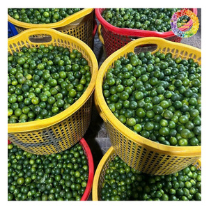 น้ำซุปข้น Iqf Calamansi น้ำซุปข้นแช่แข็งเข้มข้นน้ำซุปข้นน้ำผลไม้แช่แข็ง iqf - Product Image 5