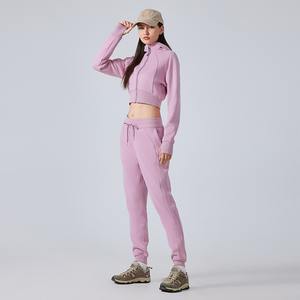 Pull-over long pour femmes personnalisé de la meilleure qualité Sweat-shirt à capuche XS Haut court en coton uni Style d'hiver Concevez votre propre - Product Image 4