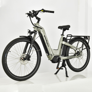 Vélo électrique pour adulte, 48V, 500W, double batterie au lithium, alimentation centrale, moteur numérique intelligent - Product Image 1