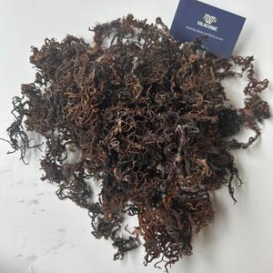 Anna DO Premium Purple Sea Moss Eucheuma Cottonii Secado al sol Tipos salados/sin sal Suministro a granel al por mayor de Vietnam - Product Image 2