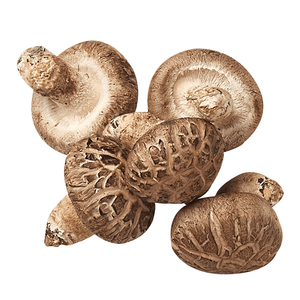 Hongo Shiitake Seco Natural, Tallo de Hongo Seco, Raíz de Hongo - Product Image 5