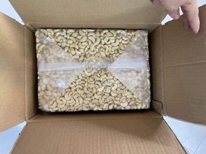 Noix de cajou W240 - Noyaux crus - 99,5% de pureté - Qualité d'exportation en vrac - Product Image 2