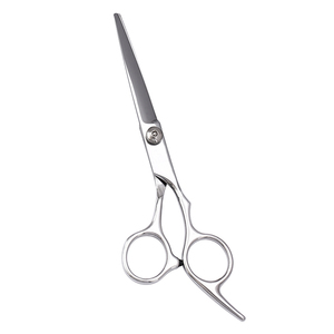 Nouveautés Ciseaux de coiffeur professionnels en acier inoxydable Ciseaux de coupe de cheveux à vendre 2025 - Product Image 1