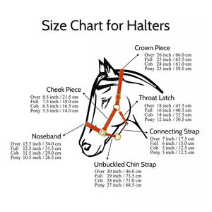 Best Buy Cheval équestre PP Halter fait à la main avec Noseband rembourré Disponible en plusieurs couleurs de qualité supérieure - Product Image 2