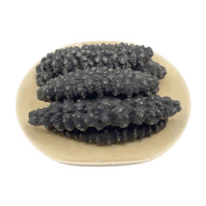 Pepino de mar seco a granel/pepino de mar a la venta - Product Image 3