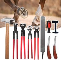 Ariston Heavy Duty Professionnel Cheval Bovins Soins Maréchal-ferrant Outil Kit Sabot Clincher Nipper RASP Marteau Couteau Tampon En Acier Inoxydable