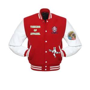 Veste universitaire matelassée à logo personnalisé veste universitaire de basket-ball à la mode d'hiver veste pour enfants hommes en toile brodée Letterman - Product Image 2